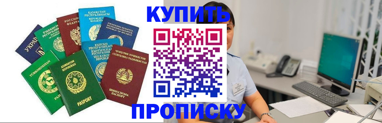 прописка в Могочи